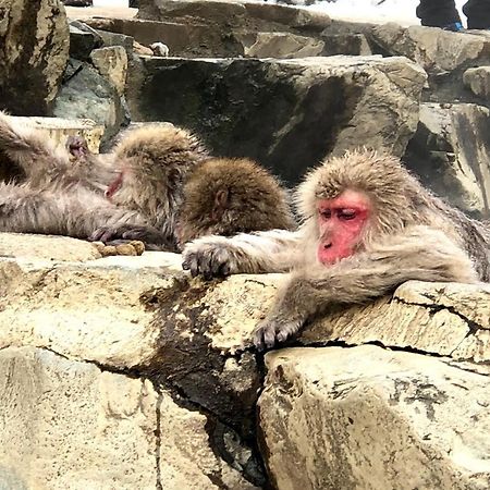 ゲストハウス 遊来 飯山市 エクステリア 写真
