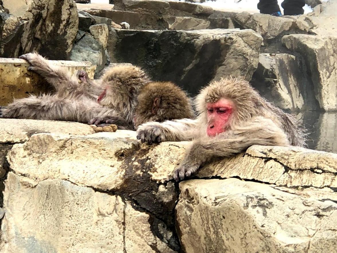 ゲストハウス 遊来 飯山市 エクステリア 写真