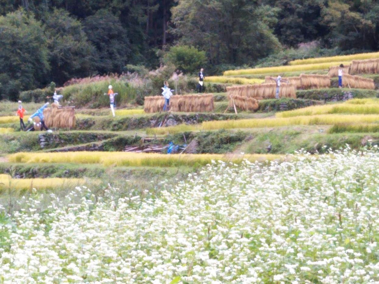 ゲストハウス 遊来 飯山市 エクステリア 写真